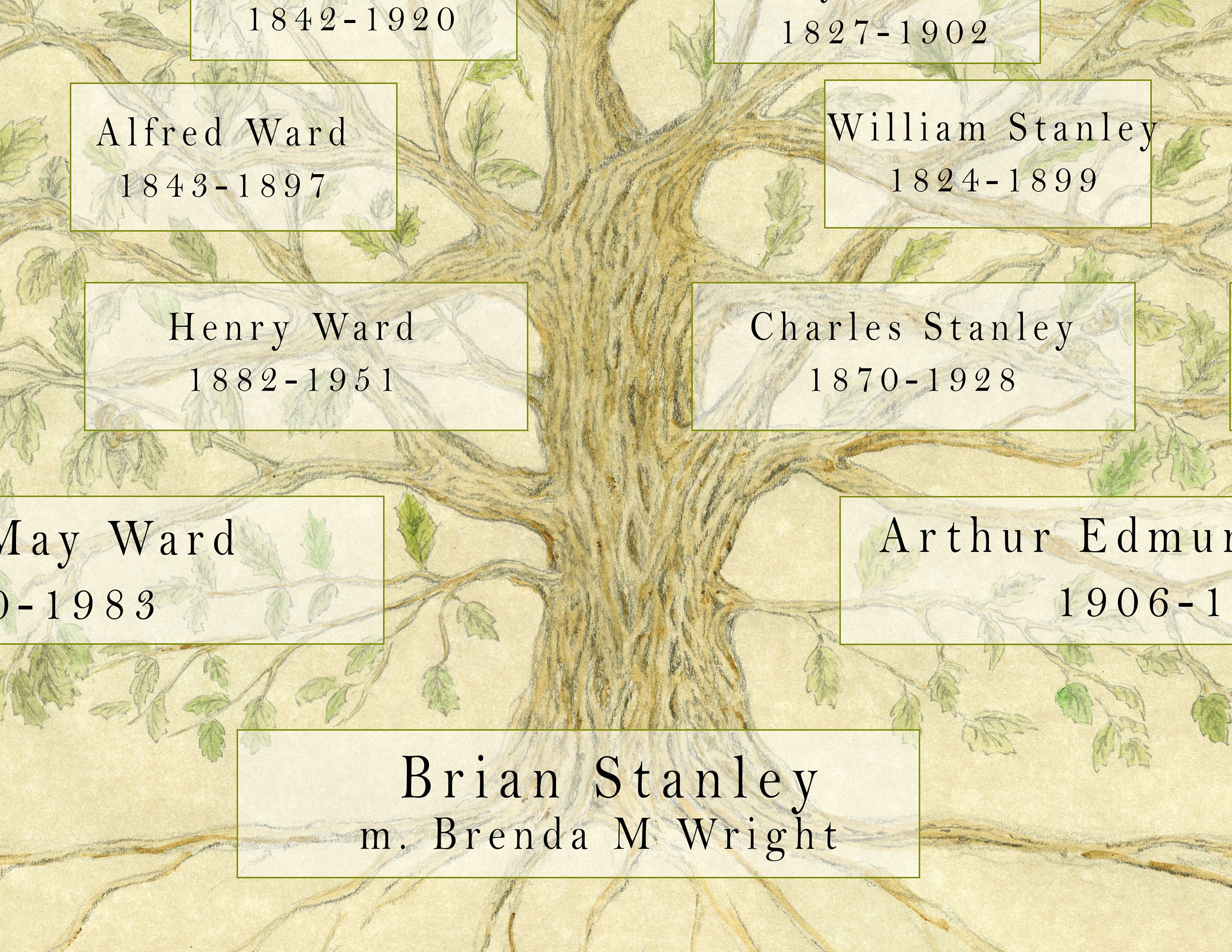 Large Genealogy Family Tree Chart