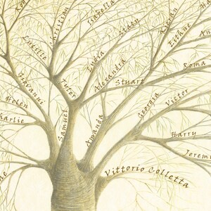 Puede incluir: Un &aacute;rbol geneal&oacute;gico dibujado a mano con los nombres de los miembros de la familia escritos en las ramas. El &aacute;rbol est&aacute; dibujado en tonos marrones y verdes sobre un fondo blanco. Los nombres en el &aacute;rbol incluyen Vittorio Colletta, Amanda, Samuel,  Tuter,  Lucille, Christian, Isabella, Lydia, Alexandra, Stacy, Kieran, Eithne, Anastasia, Stuart, Georgia, Victor, Roma, Gretchen, Harry y Jeremy.