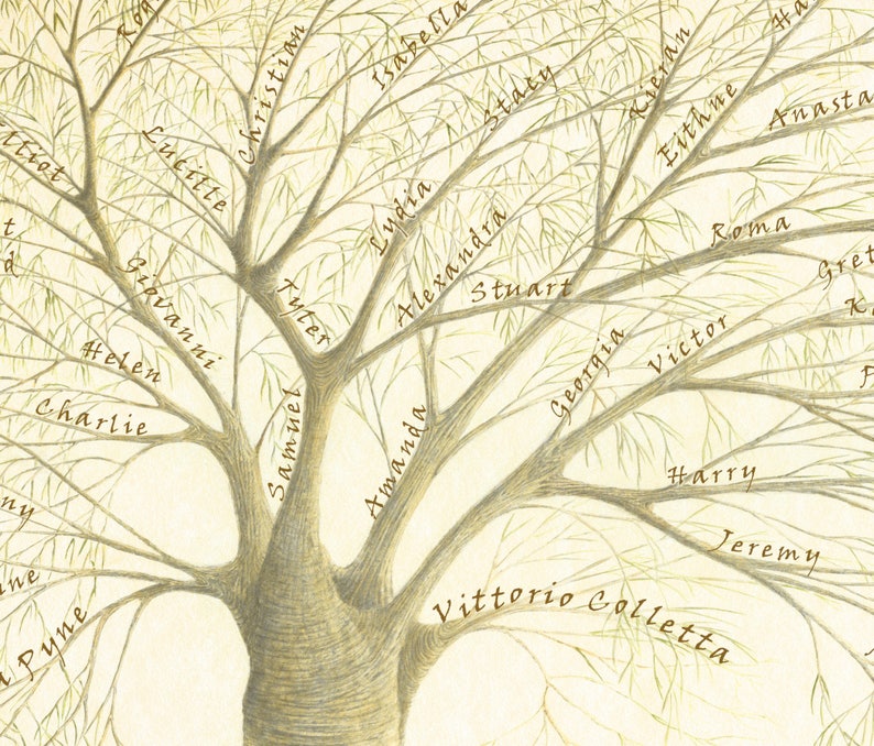 Puede incluir: Un &aacute;rbol geneal&oacute;gico dibujado a mano con los nombres de los miembros de la familia escritos en las ramas. El &aacute;rbol est&aacute; dibujado en tonos marrones y verdes sobre un fondo blanco. Los nombres en el &aacute;rbol incluyen Vittorio Colletta, Amanda, Samuel,  Tuter,  Lucille, Christian, Isabella, Lydia, Alexandra, Stacy, Kieran, Eithne, Anastasia, Stuart, Georgia, Victor, Roma, Gretchen, Harry y Jeremy.