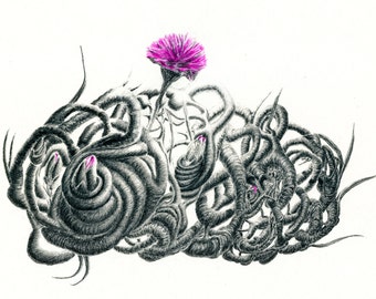 Pencil Drawing - Botanical Print - Botanical Art - Abstract Art - Abstract Print - Signed Art - Carnation Print - Giclee Print - Twi