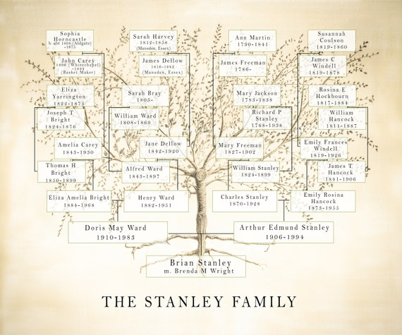 Ancestry Toe Chart