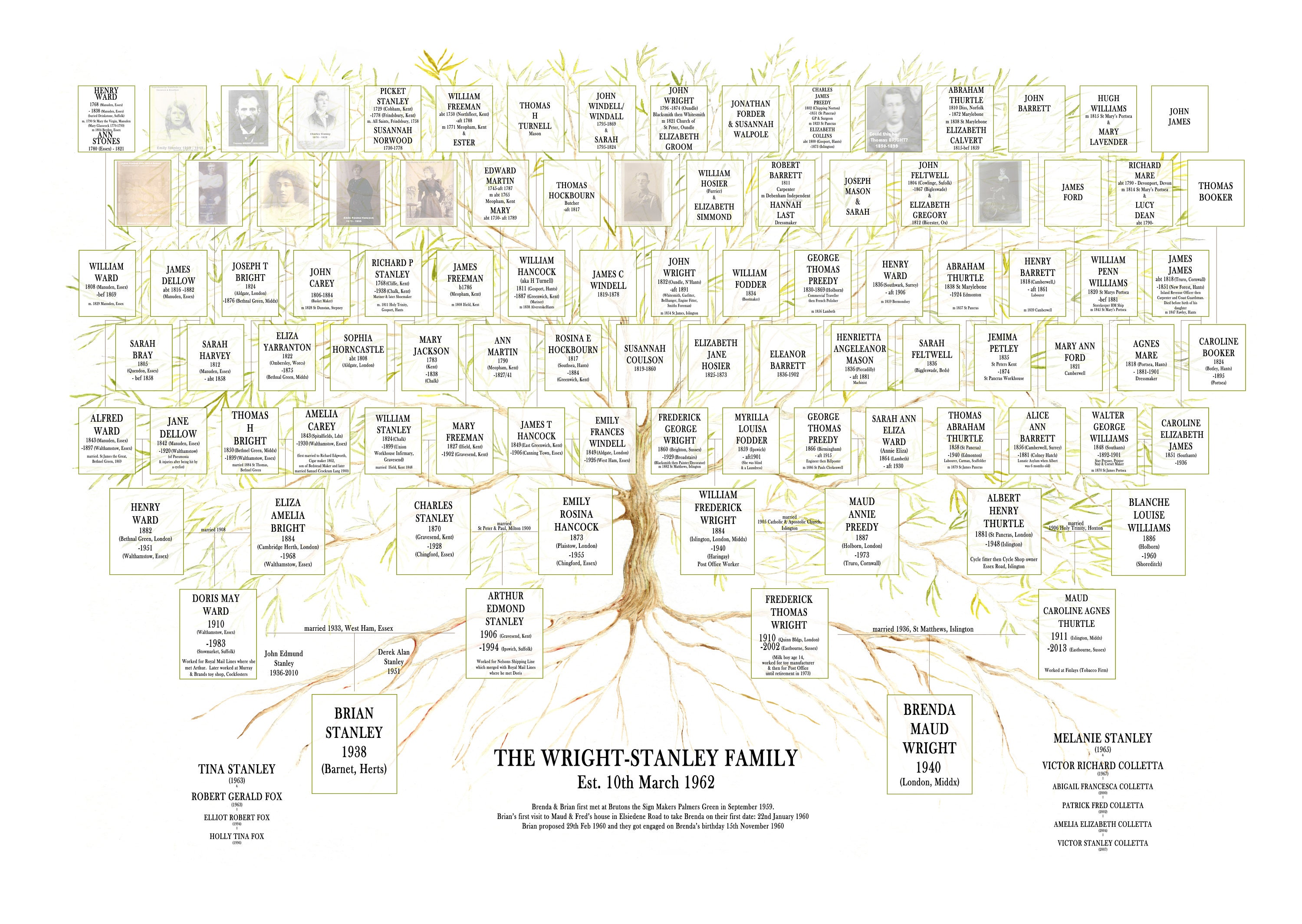 Birth Tree Chart