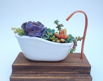 Bathtub succulent planter with shower set/ceramic planter/succulent arrangement/succulent art/cactus planter/wedding succulent/planter