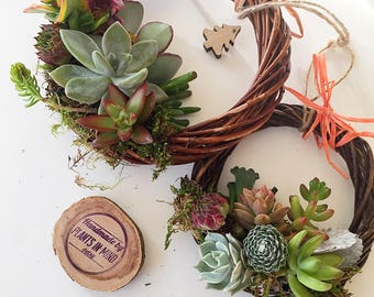 Succulent Wreaths/Succulent plant/succulents/indoor plant/succulent arrangement/live plants/cactus/succulent wedding/succulent gift