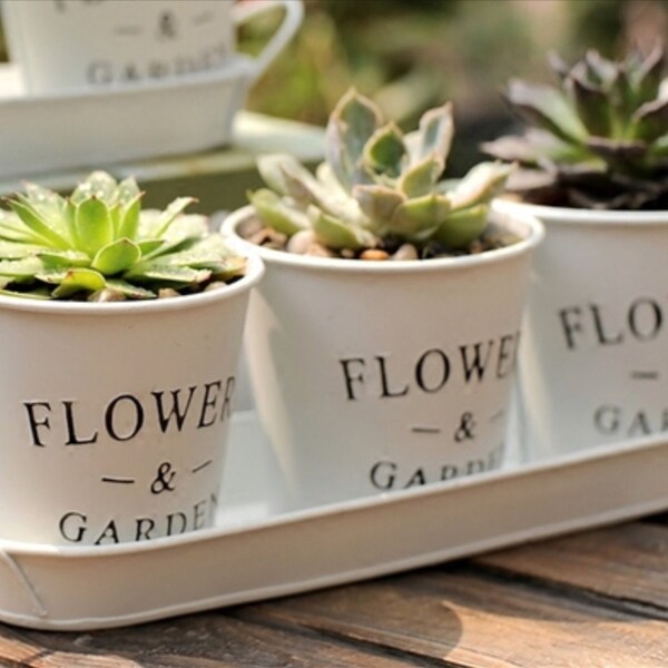 Set of 3 metal planters/shabby chic decor/Indoor planter/succulent planter/metal planter/succulents/indoor plants/outdoor plants