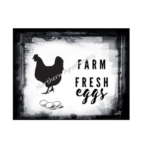 Chicken Farm Fresh Eggs Farmhouse SVG Image File Cricut Instant Download