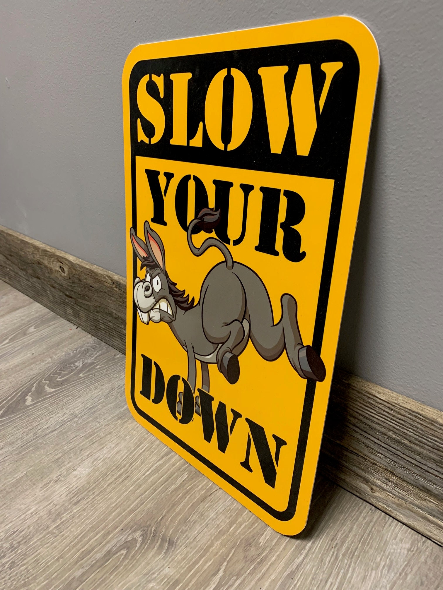 Targa in metallo con scritta Slow The !%$# Down Road Driver and