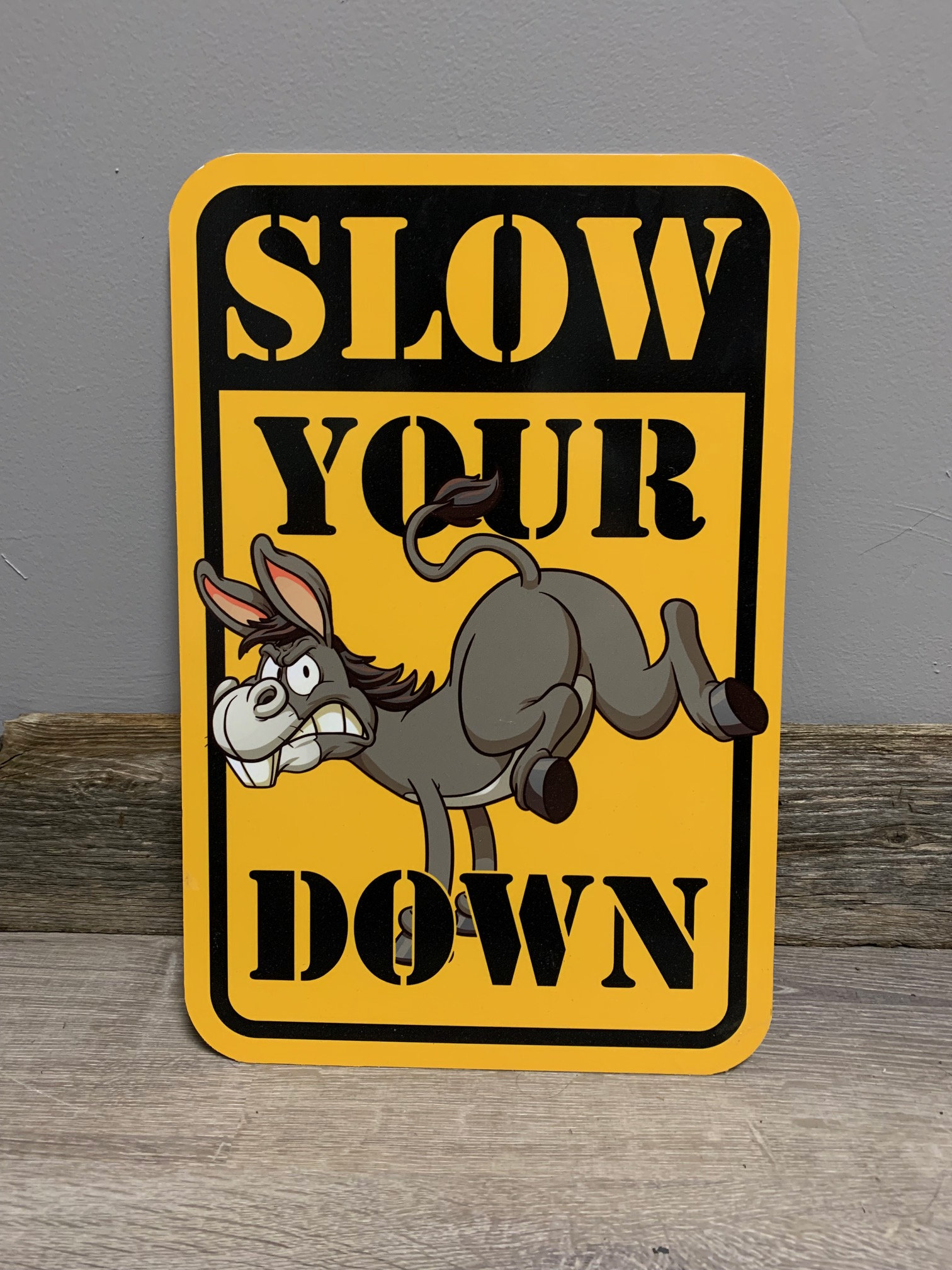 Insegna Di Metallo Golden Retriever - Foto 6