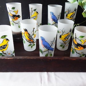 Vasos vintage - Hazel Atlas - Vasos Songbird - Vasos esmerilados - Mediados de siglo
