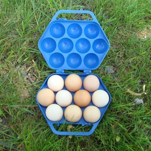 Panier à oeufs Stockage d&#39;oeufs Panier à oeufs vintage Porte-oeufs Boîte à oeufs Conteneur à oeufs pour 10 Oeufs Récipient en plastique bleu URSS Panier à oeufs bleu