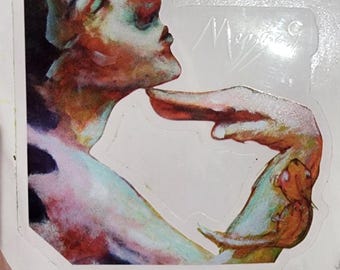 Acrobat Clear Vinyl Sticker - Waterproof, Weatherproof