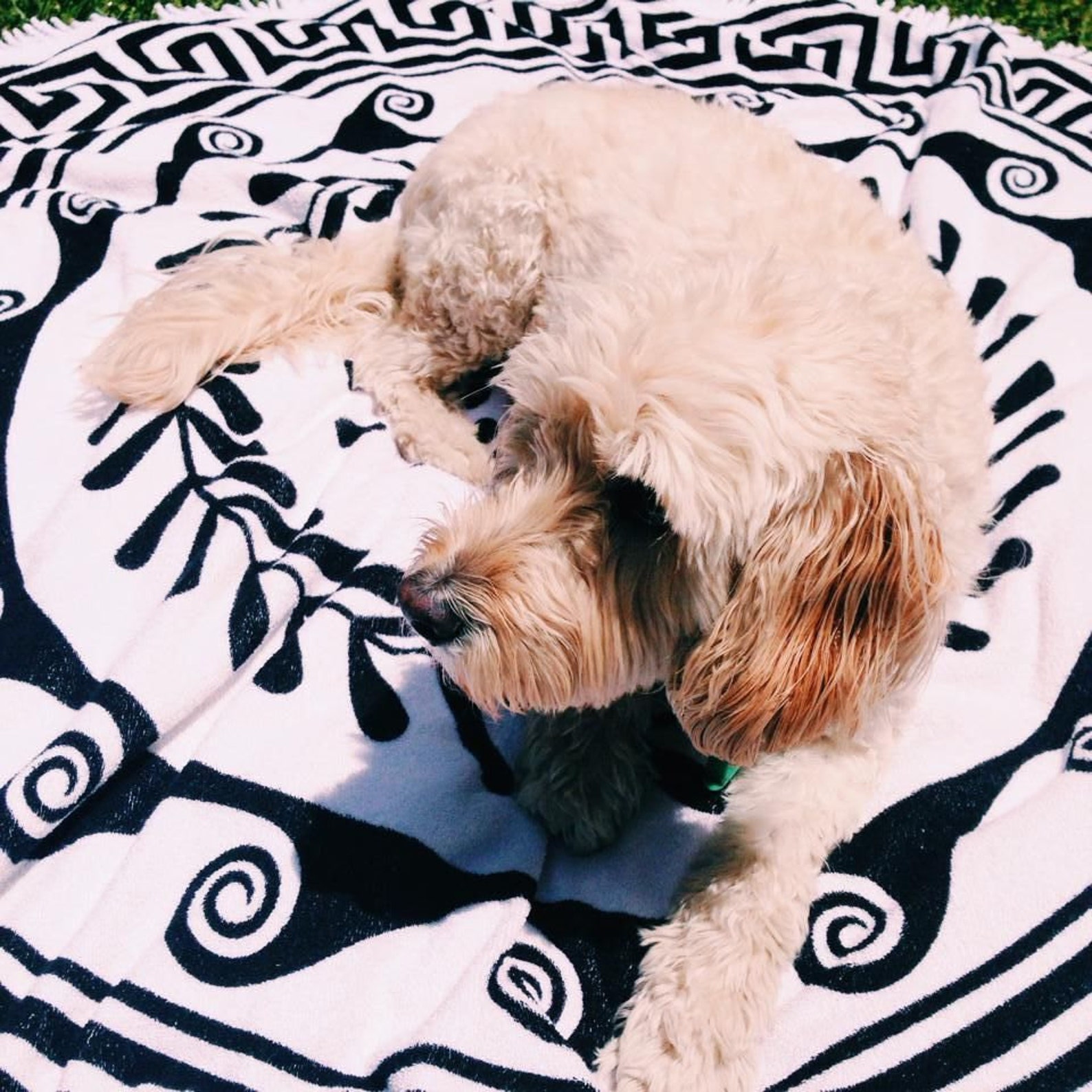 Round Beach Towel GREEK SUN White Tassels 150 cm Diameter Etsy