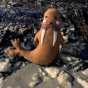 May include: A brown felt walrus plush toy with white tusks and pink cheeks. The toy is sitting on a rocky beach.