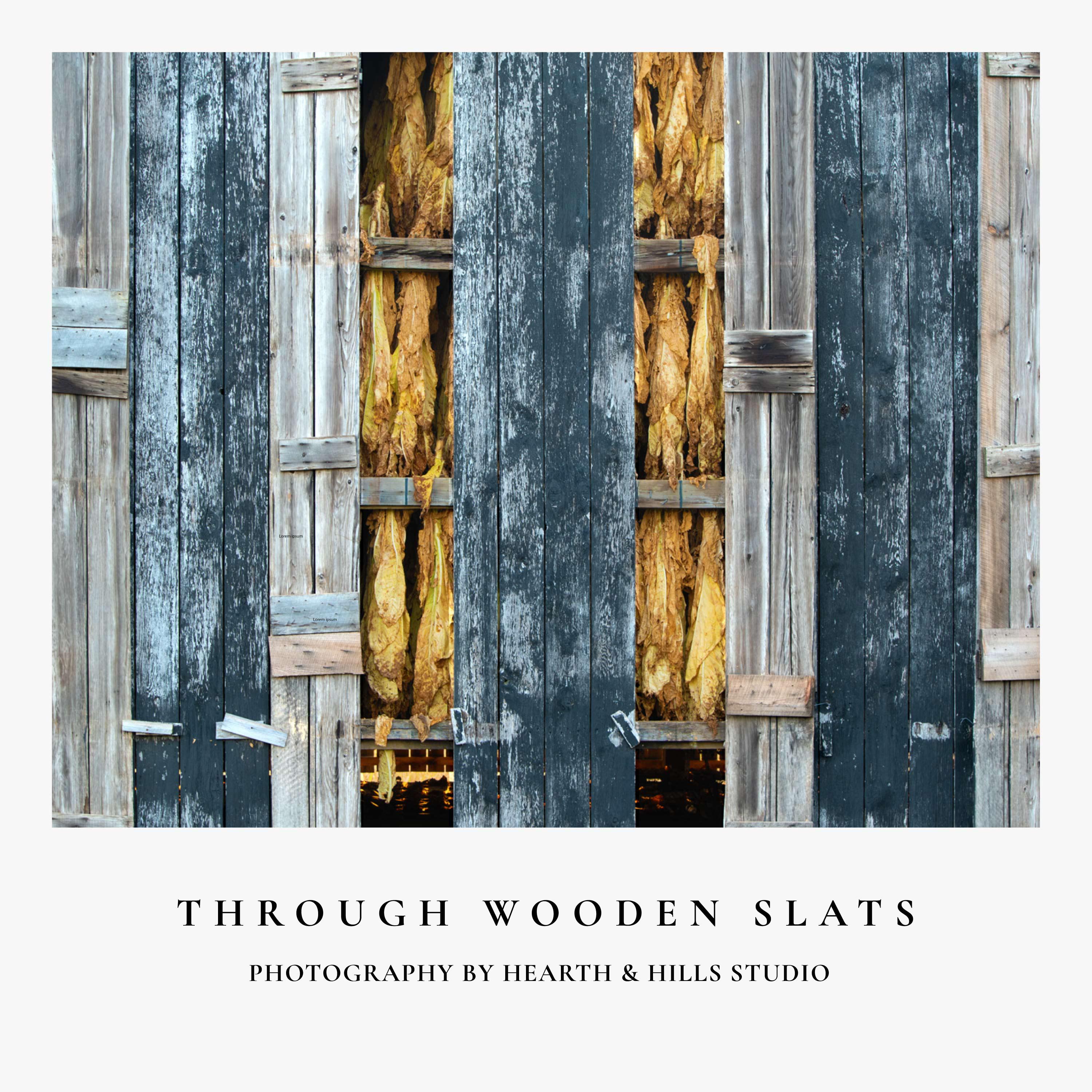 Tobacco Slats