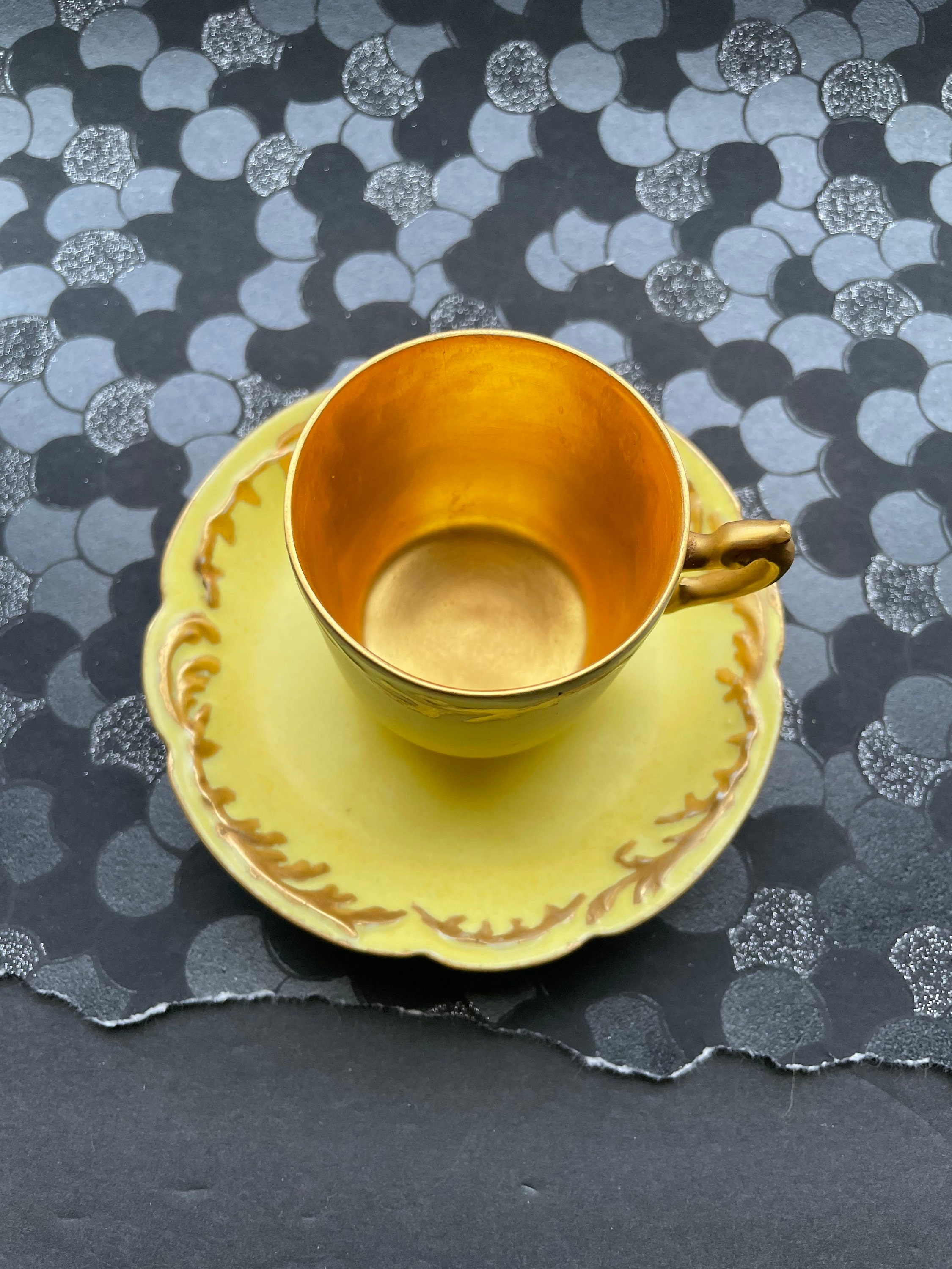 Dresden社ドレスデン金彩ビスクスワン型カップ&ソーサー　陽刻 Amazon.co.jp: Generic Product DRESDEN Dresden Cup & Saucer