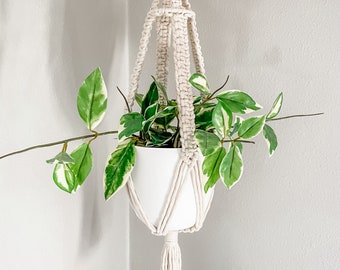 Macrame Plant Hanger | Natural Square Knot Canopy Plant Hanger