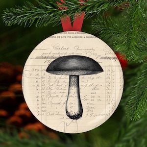 Mushroom Christmas Ornament, Secret Santa, Stocking Stuffer, Mushroom Ornament, Mushroom