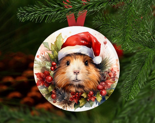 Christmas Decoration Guinea Pig Holiday Boarding Near Me Amica