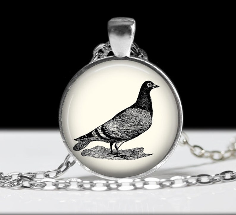 Pigeon Jewelry Pigeon Necklace Gift for Her Pigeon Etsy