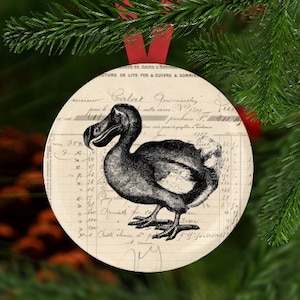 Dodo Ornament, Dodo Christmas Ornament, Dodo Gift, Bird Christmas Ornament, Secret Santa, Stocking Stuffer