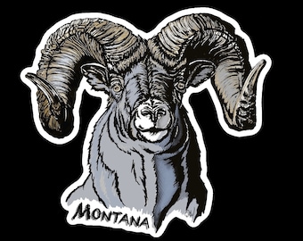 Bighorn Sheep Montana Sticker