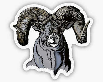 Bighorn sheep sticker