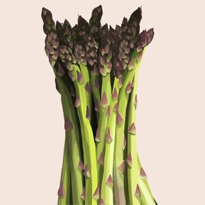 Stampa artistica giclée di asparagi