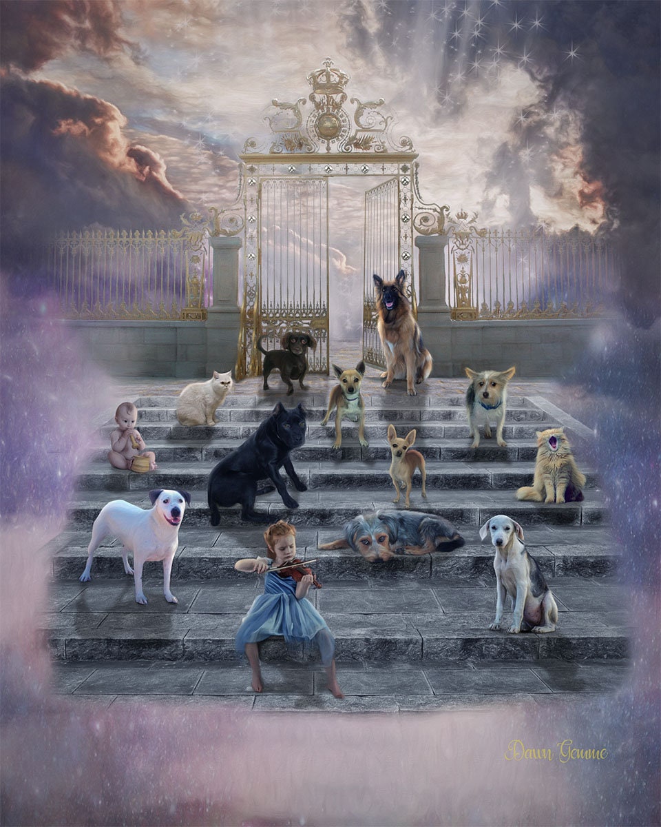 Heaven Fantasy Art Print Dog Fantasy Artwork Cat Fantasy Etsy