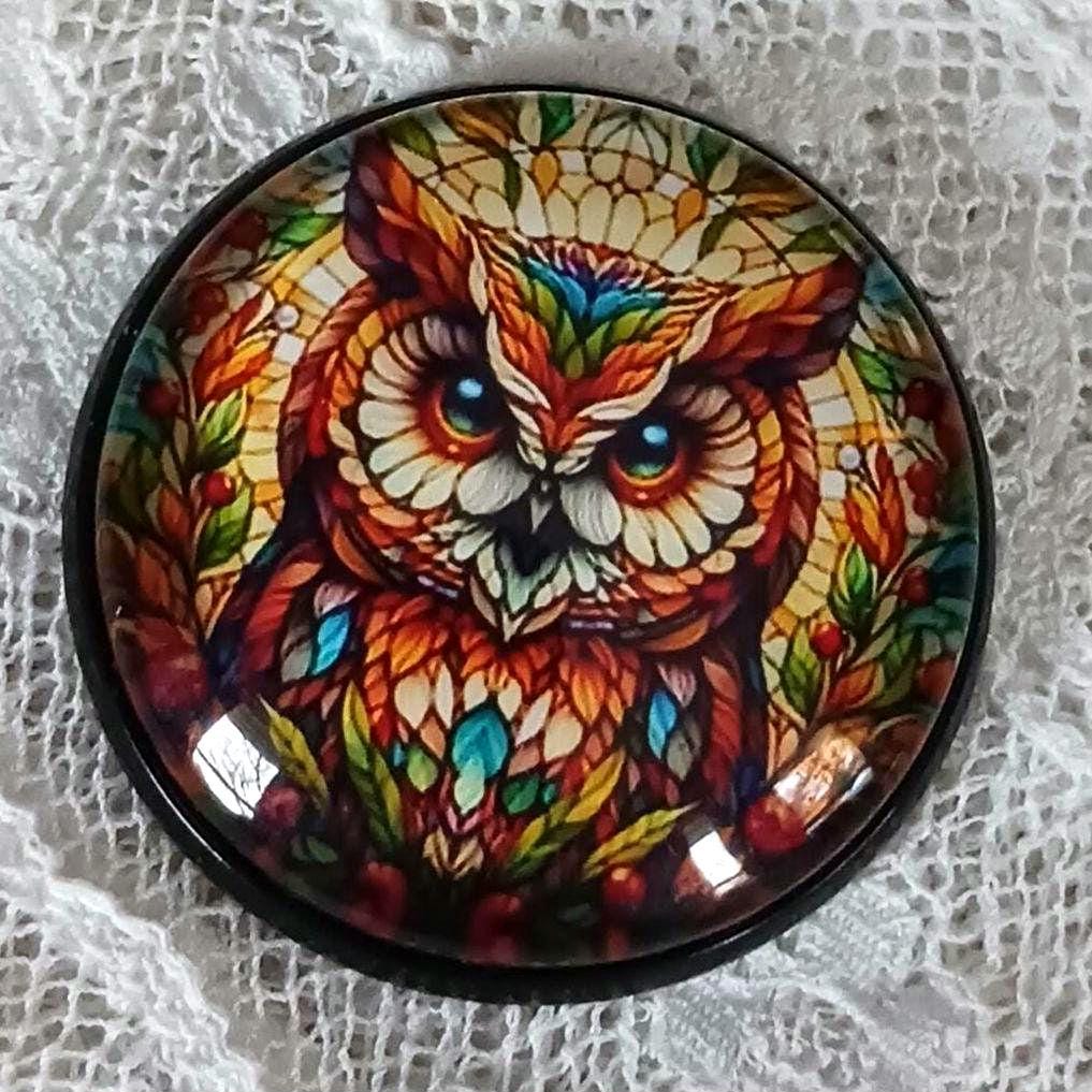 Modern glass domed bubble button 1 inch, owl bird with fall colors image under glass collectable stu