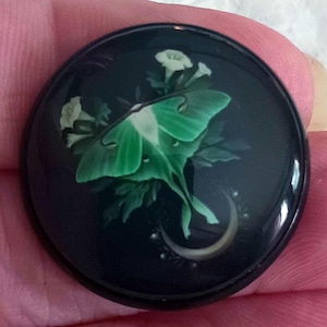 Modern glass dome button 1 inch Luna Moth with moon flowers image under glass collectable insect studio button by Emily's Buttons