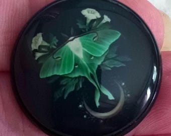 Modern glass dome button 1 inch Luna Moth with moon flowers image under glass collectable insect studio button by Emily's Buttons