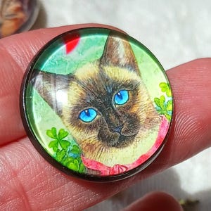 May include: A round, black-rimmed pendant featuring a Siamese cat with bright blue eyes. The cat is set against a green background with shamrocks and a pink ribbon. The pendant is held between fingers.