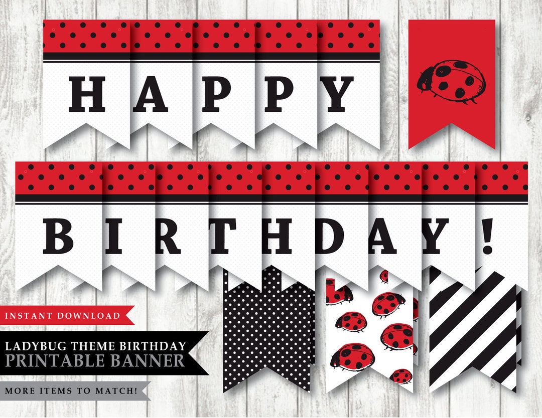 Ladybug 'little Lady' Theme printable Happy Birthday - Etsy
