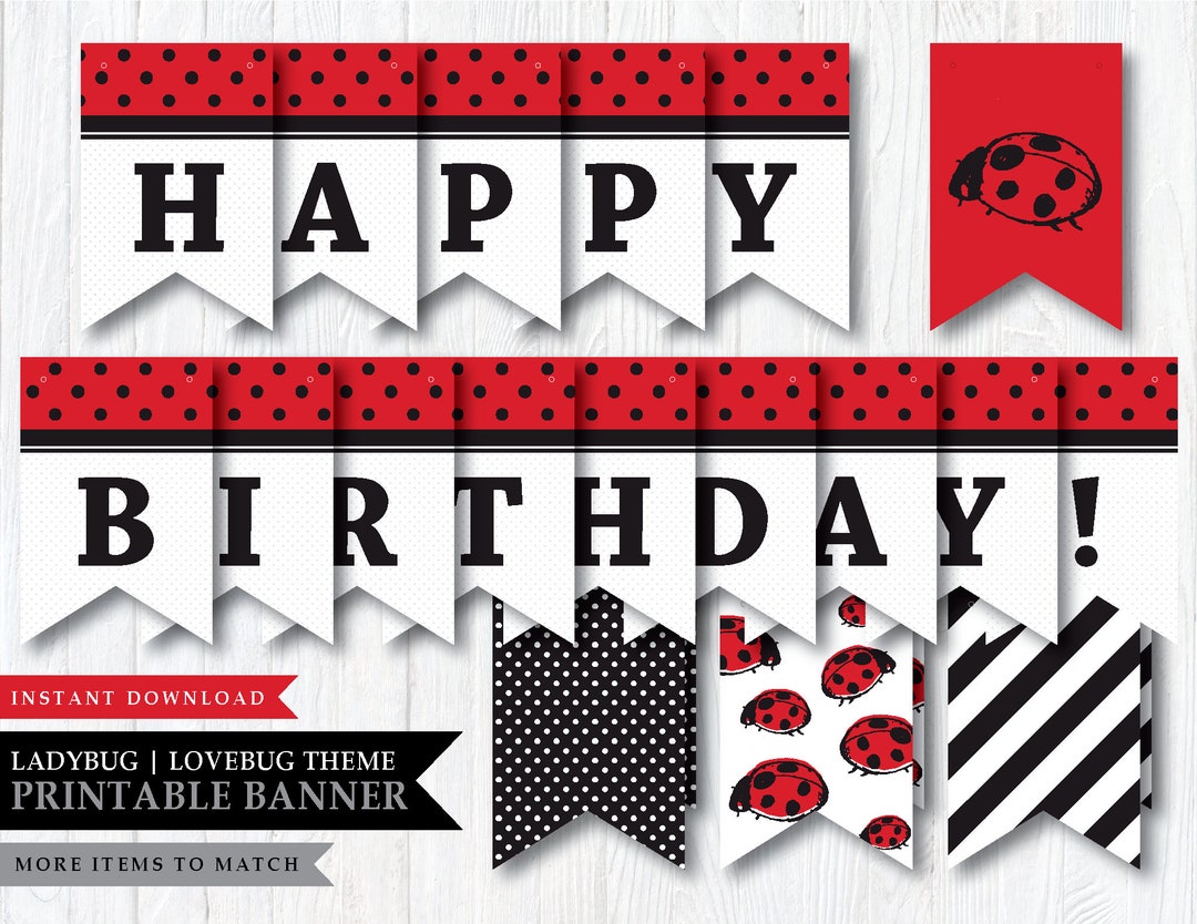 Ladybug 'little Lady' Theme printable Happy Birthday - Etsy