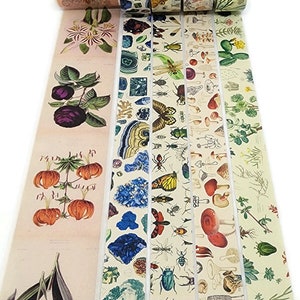 Retro Insects Washi Tape 20mm Rolls - Melissa Washburn - Illustration +  Design