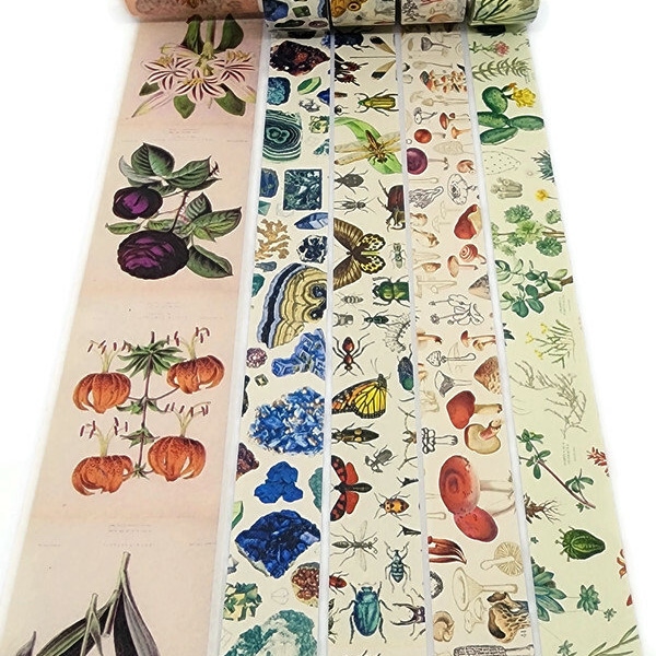 SAMPLE SIZE!  - Cactus, Antique Botanicals, Gems, Minerals, Garden Bugs, Mushrooms - Washi Tape - (24 inch sample)