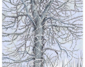 Honey Locust Tree in Winter; original limited edition print