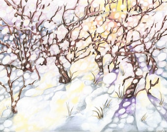 Snowstorm and Sunlight