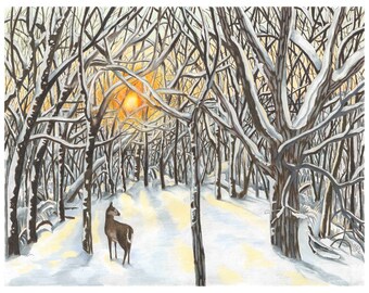 Winter Sunrise in Northeast Iowa