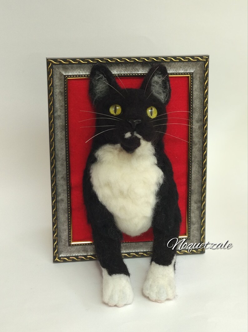 May include: A black and white cat with yellow eyes is peeking out of a silver frame with a red velvet background. The cat's paws are sticking out of the frame. The text "Noquetzale" is visible in the bottom right corner of the image.