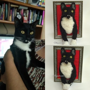 May include: A black and white cat with green eyes is felted and framed in a gold frame with a red background. The cat is posed as if it is sticking its head out of the frame. The artist's name, "Nequetzale", is written in the bottom right corner of the frame.