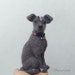 Owner of <a href='https://www.etsy.com/shop/Noquetzale?ref=l2-about-shopname&from_page=listing' class='wt-text-link'>Noquetzale</a>
