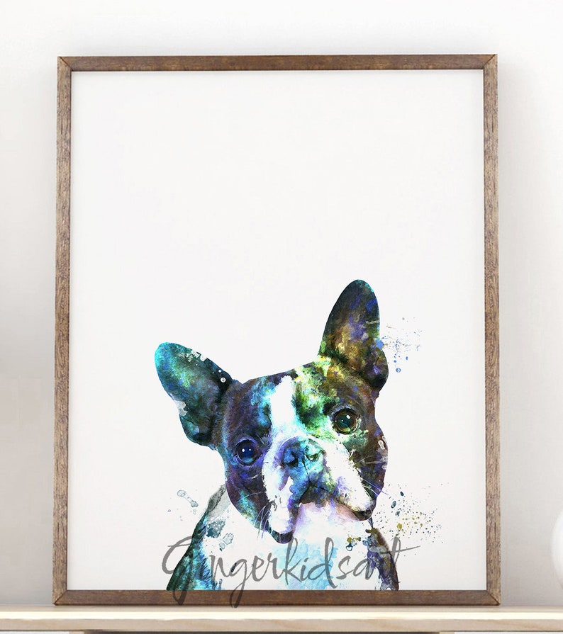 Boston Terrier, Boston Terrier Gifts, Watercolor, Art Print, Dog, Animal, Pet, Dog Lover Gift, Dogs, Puppy, Wall Art, Home Decor 960-1 image 1