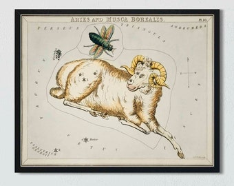 Vintage Aries Astrology Print: Night Sky Constellation Wall Art