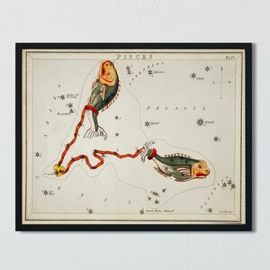 Art mural poissons - impression poisson zodiaque - reproduction de Sidney Hall - cadeau pour Poissons - anniversaire de février - thème astrologique - affiche du ciel nocturne