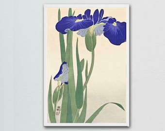 Purple Iris Print - Japanese Decor - Botanical Illustration - Unframed Fine Art in 8X12 or 11X17 Sizes