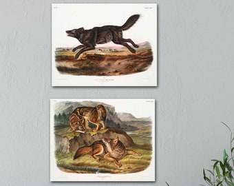 Wolves Print Set - Wolf Wall Art - Wild West Art - Two Print Set - Reproductions of Vintage Paintings by John James Audubon - Wolf Gift Set