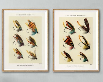 Set of Fly Fishing Art Prints - Orvis Salmon Flies Print Set - Vintage Fishing Posters - Gift for Fisherman - Fly Fishing Illustrations