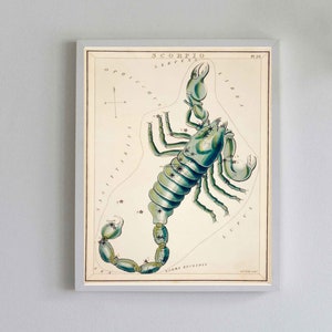 Vintage Scorpio Art Print: Zodiac Star Chart Illustration image 3