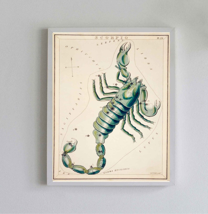 Vintage Scorpio Art Print: Zodiac Star Chart Illustration image 3